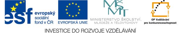 Tvorba vzdělávacích programů pro dělníky a mistry v gumárenské, plastikářské a strojírenské výrobě